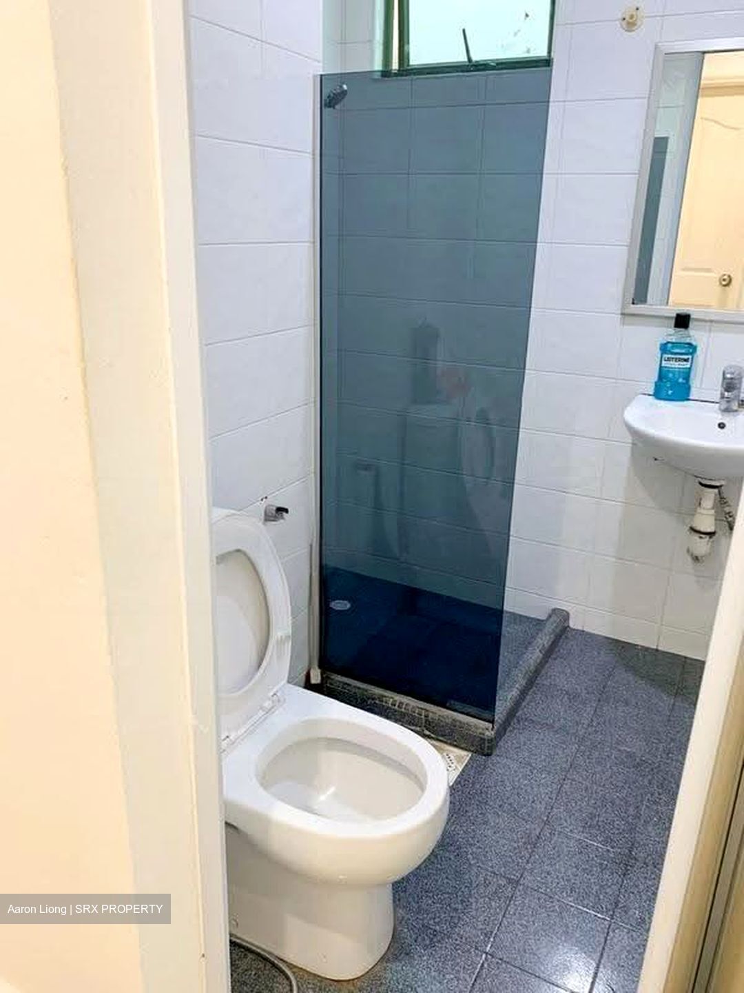 Ever Lodge (D14), Apartment #626270561